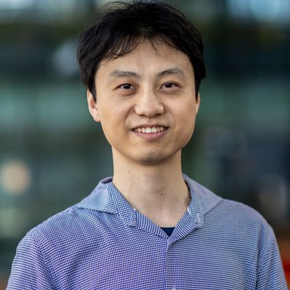 Haowen Yang
